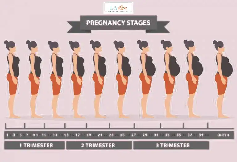 First Trimester (Weeks 1–12): Early Changes You Might Not Notice Accrington